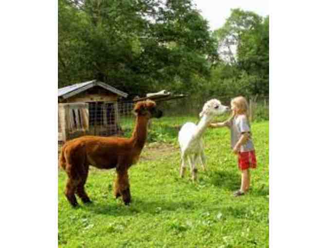 $500 Gift Certificate to Journey's End Farm Camp (a)