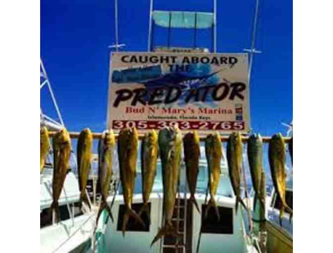 1/2 Day Fishing Charter aboard the Predator
