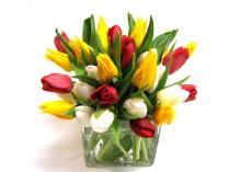 A Year of Flowers from The Concord Flower Shop