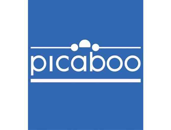 Picaboo Gift Certificate (1 of 5)