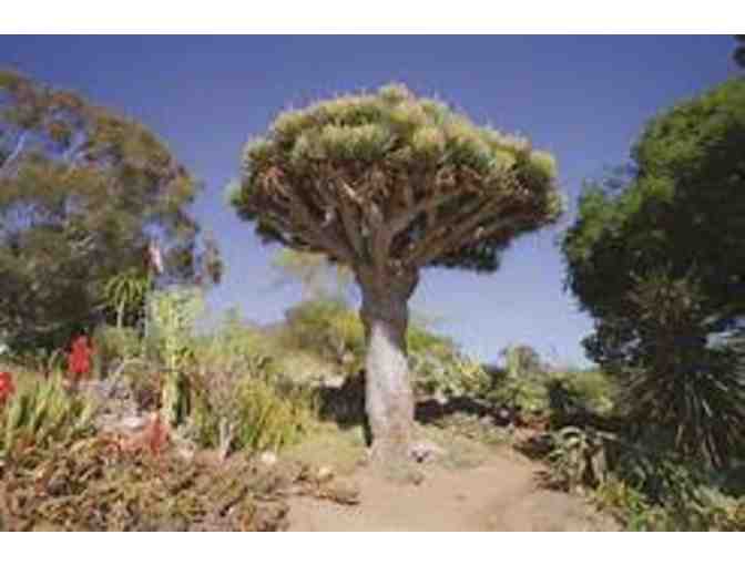 San Diego Botanic Garden - Photo 2