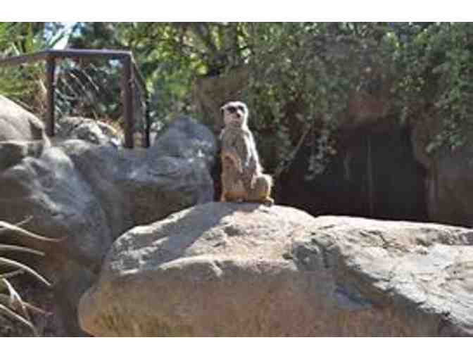 Greater Los Angeles Zoo - Photo 5