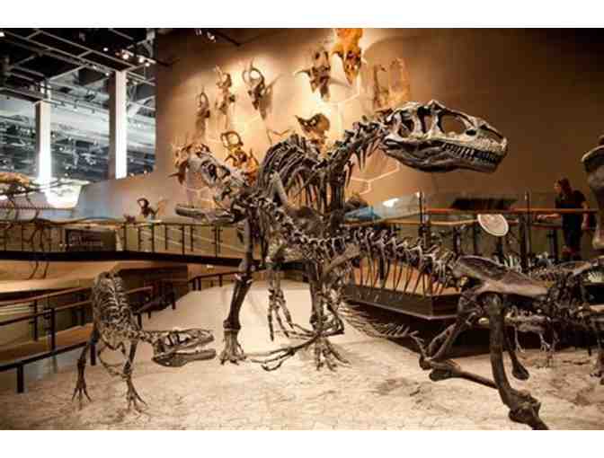 Natural History Museum of Utah - Photo 3