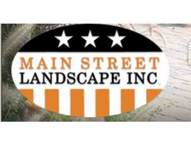 Main Street Landscape Consultation & Sketch with Rick Herbert