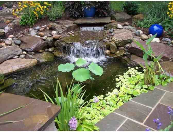 Main Street Landscape Consultation & Sketch with Rick Herbert