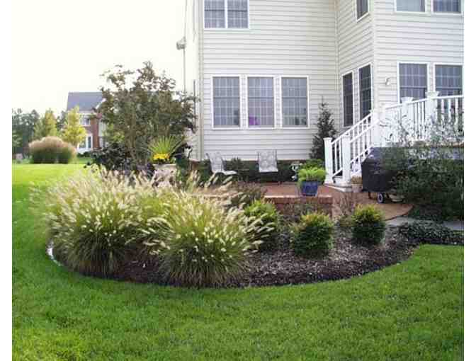 Main Street Landscape Consultation & Sketch with Rick Herbert