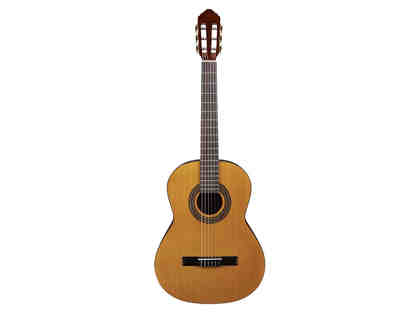 Laurel Canyon LA-100 Acoustic Guitars