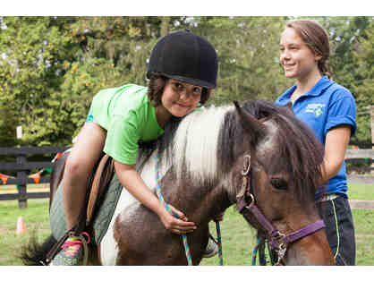 Pony Adventure Camp GUARANTEED for Summer 2019