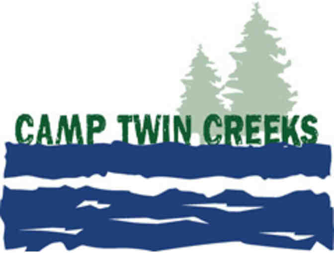 Camp Twin Creeks - $1000 Gift Certificate Toward Any 2-week Session