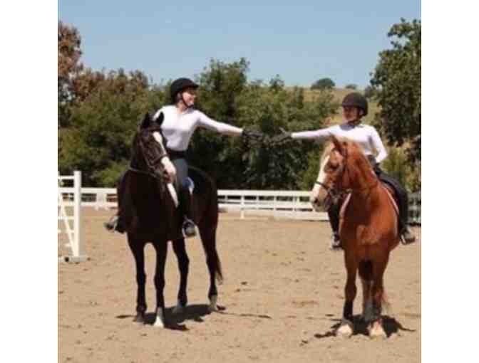 Horseback Riding Lessons at Five Star Equestrian
