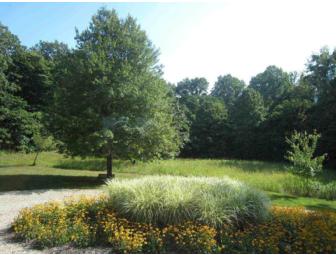 One Week in Michigan Cottage Home