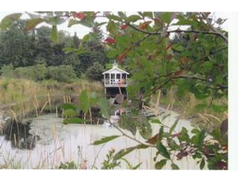 Five days in 3 Bedroom Cottage in Harbor Country Michigan