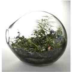 Loveleaf Press Studio