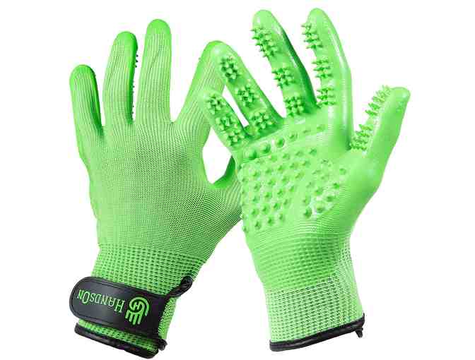 Dog Grooming Package