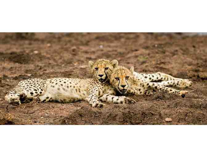 South Africa Safari with Luxury Accommodations