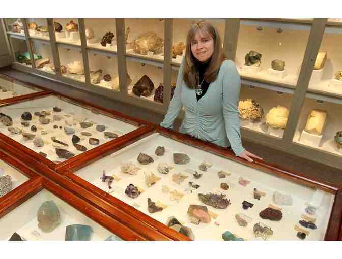 Admission for four to the Harvard Museums of Natural History and Archaeology