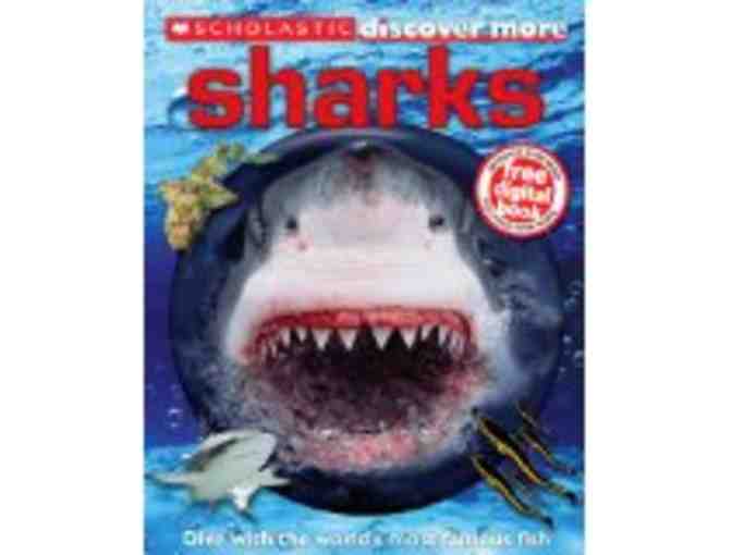 All About Sharks Book Set