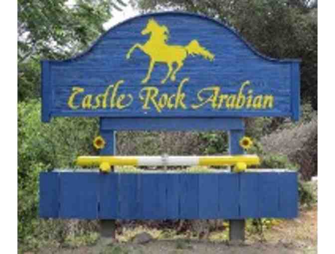 Horseback Riding Lessons at Castle Rock Arabians