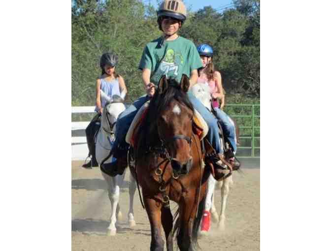 Horseback Riding Lessons at Castle Rock Arabians