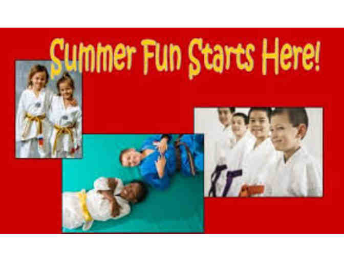 One Week of Karate Camp at Martial Arts America