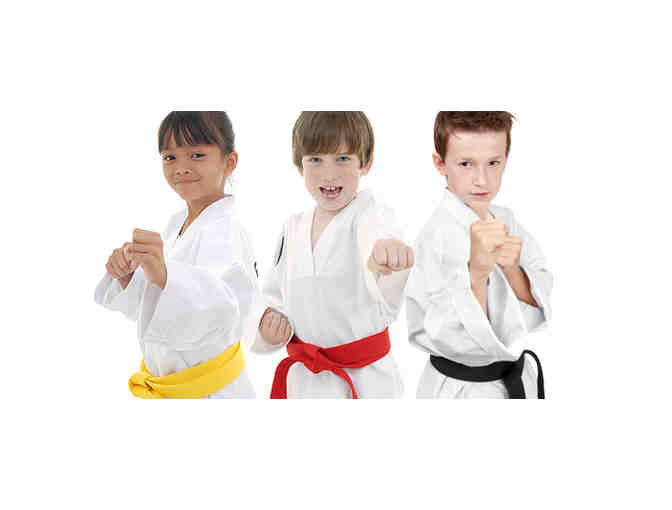 Karate Birthday Party at Martial Arts America