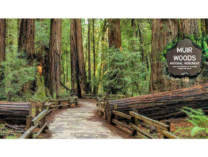 Muir Woods and Sonoma Wine & Beer Tour