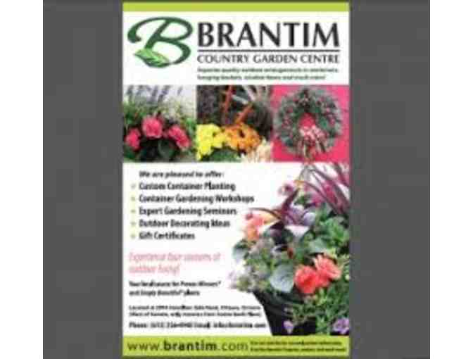 $50 towards YOUR CHOICE of Beautiful Flowers from Brantim Country Garden Centre - Photo 4