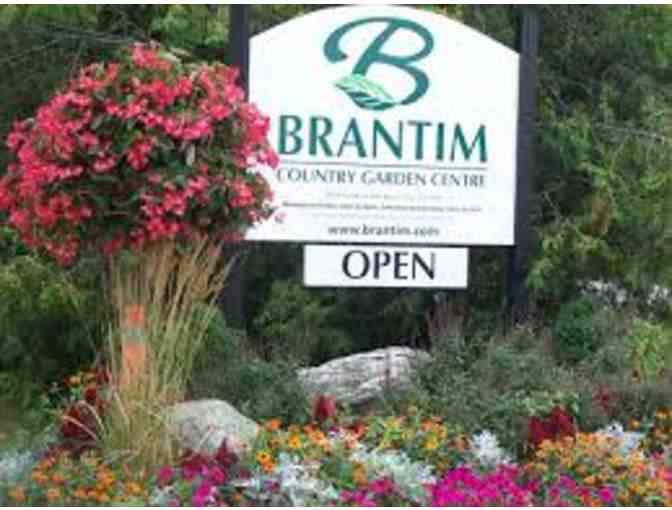 $50 towards YOUR CHOICE of Beautiful Flowers from Brantim Country Garden Centre