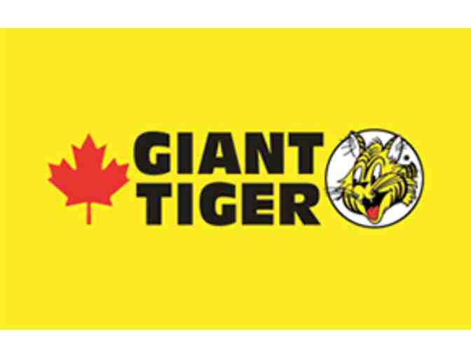 Mystery Gift Basket from Giant Tiger - Carleton Place