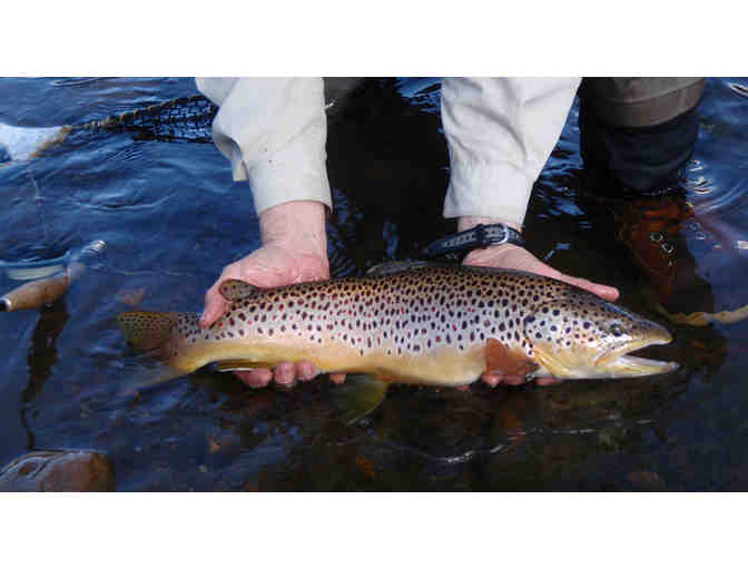 Fly fishing guided trip for 2 above Deckers, Colorado.