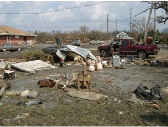 Boat Form by Brian Nettles