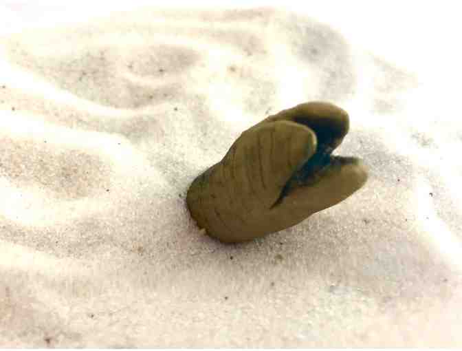Terrarium - Giant Sand Worm of Arrakis
