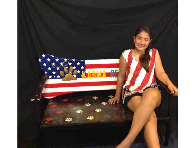 Handmade Bench - Patriotic - by Paws For Life Participant