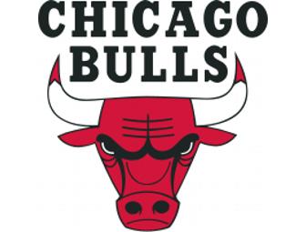 2010-11 Team Autographed Chicago Bulls Pennant