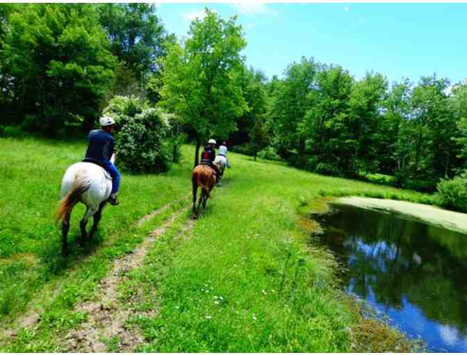 4 One hour Horseback Rides at Juckas Stables in Bullville, NY. - Photo 2