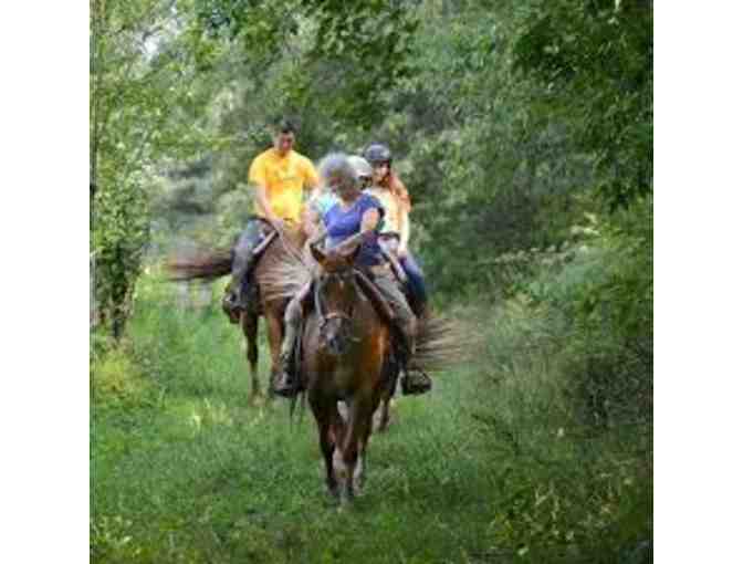 4 One hour Horseback Rides at Juckas Stables in Bullville, NY. - Photo 1