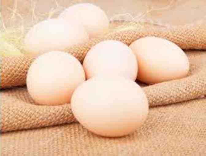 6 Dozen Farm Fresh Chicken Eggs - Photo 1