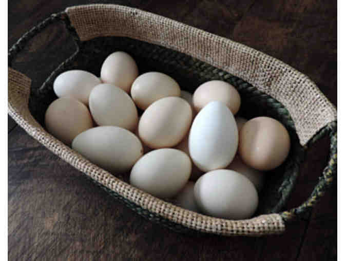 6 Dozen Farm Fresh Chicken Eggs
