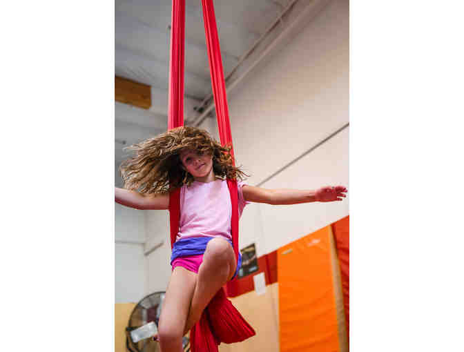 1 one hour Aerial Dance class in Marin County