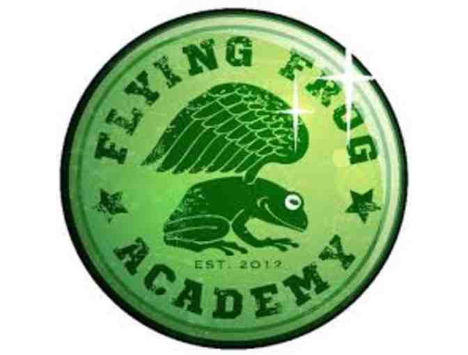 2 Passes for Open Gym at Frog Academy - Photo 1