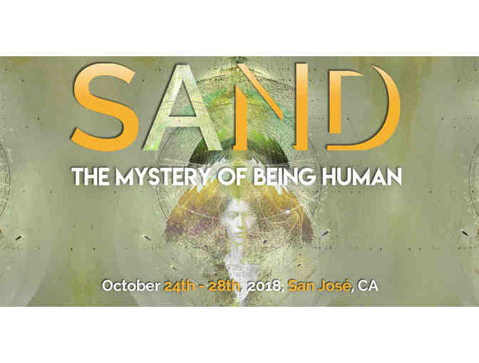 1 Ticket to SAND 2019 USA Conference - Photo 1