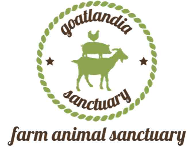 Goat Yoga at Goatlandia Farm Animal Sanctuary
