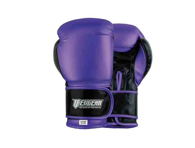 Kickboxing Workout Kit and 2 punch cards  to Elevate Fitness & Martial Arts