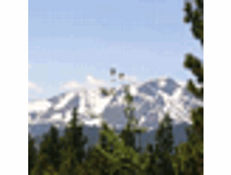 Two Nights at Forest's Edge Cabin near Lake Tahoe!