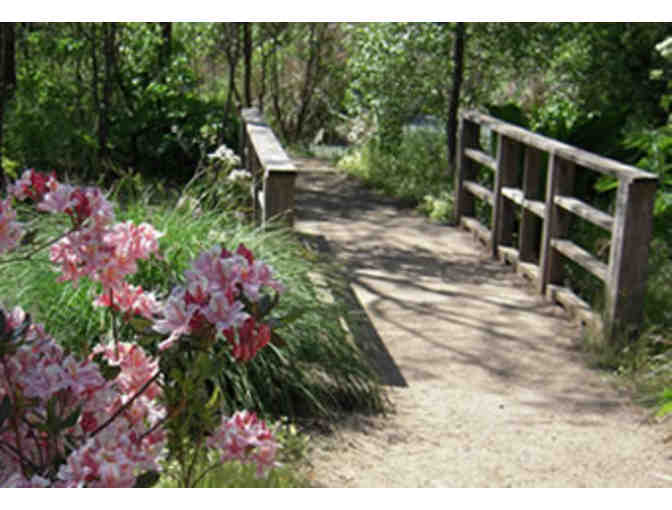 Botanical Gardens: Family Plus 1-year membership