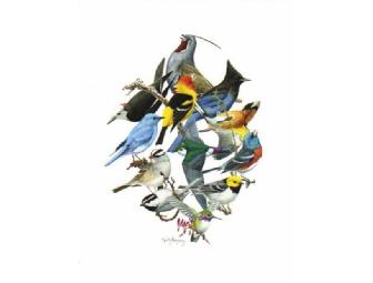 Birding Tour of Stinson/Bolinas w/ Keith Hansen