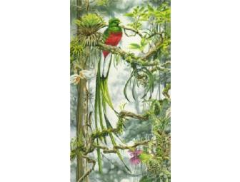 Birding Tour of Stinson/Bolinas w/ Keith Hansen