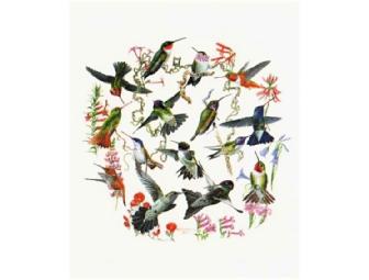 Birding Tour of Stinson/Bolinas w/ Keith Hansen