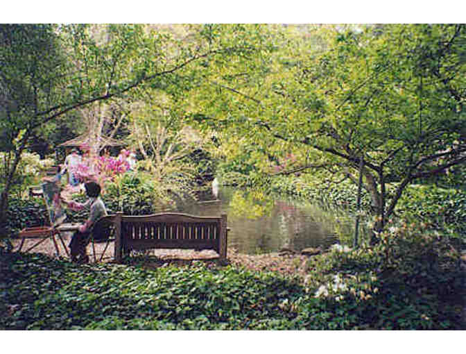 Painting and Snacks at Descanso Gardens with Mrs. Ragus and Ms. Stutin