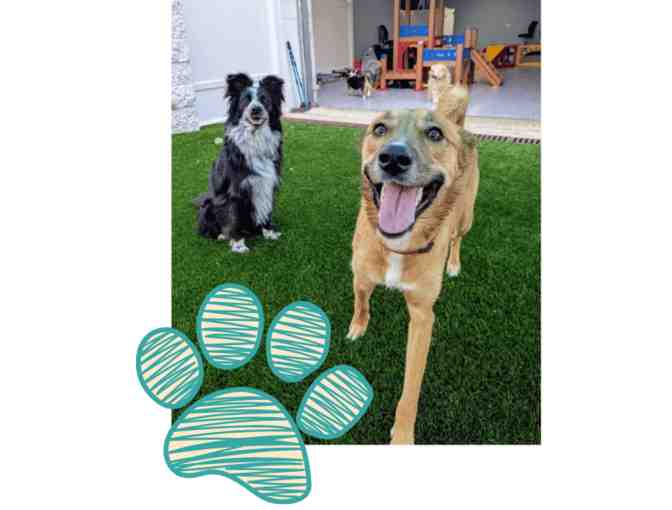 Ruff Resort - Pawradise Suite Package - Photo 2